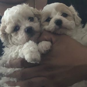 Meet your Posher, Mildreth